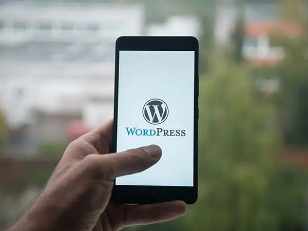 WordPress on mobile device